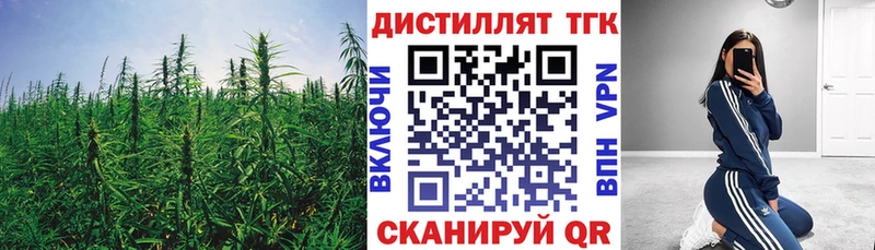 ТГК концентрат Светлоград