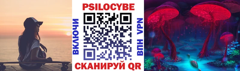 Галлюциногенные грибы Cubensis  kraken сайт  Светлоград 