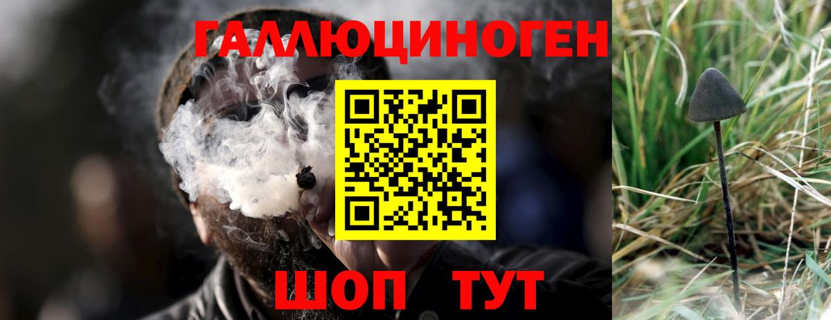 Псилоцибиновые грибы GOLDEN TEACHER  Вход с VPN  Светлоград 